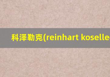 科泽勒克(reinhart koselleck)